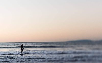 Pembuatan Website Company Profile Jakarta