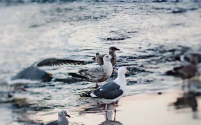 Website Company Profile Perusahaan Jakarta